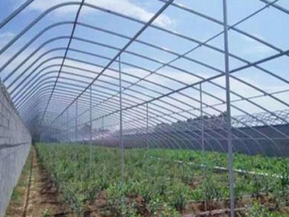 鍍鋅鋁日光溫室