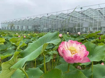紋絡溫室生態餐廳